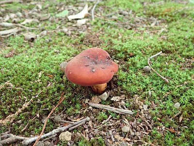 20210627-1.jpg