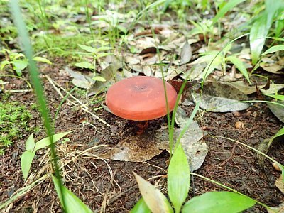20210703-1.jpg