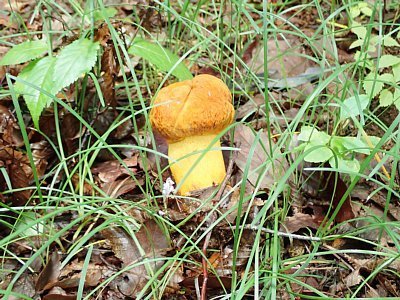 20210703-2.jpg
