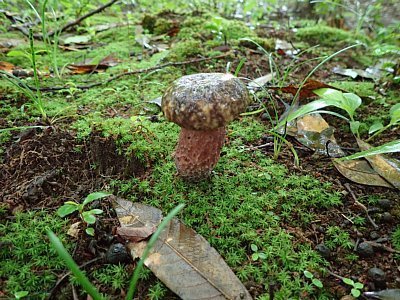 20210704-2.jpg