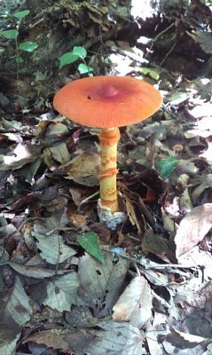 20210710-1.jpg