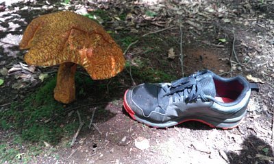 20210710-2.jpg